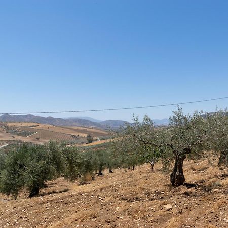 Casa Los Olivos Alora - Caminito Del Rey エクステリア 写真