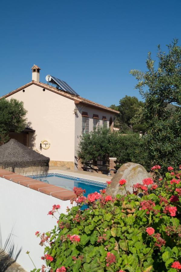 Casa Los Olivos Alora - Caminito Del Rey エクステリア 写真