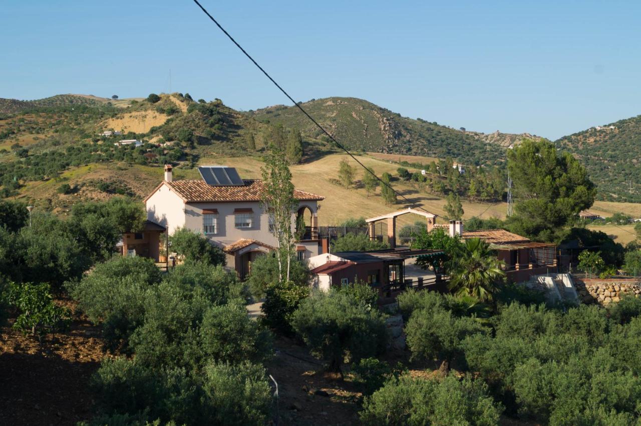 Casa Los Olivos Alora - Caminito Del Rey エクステリア 写真
