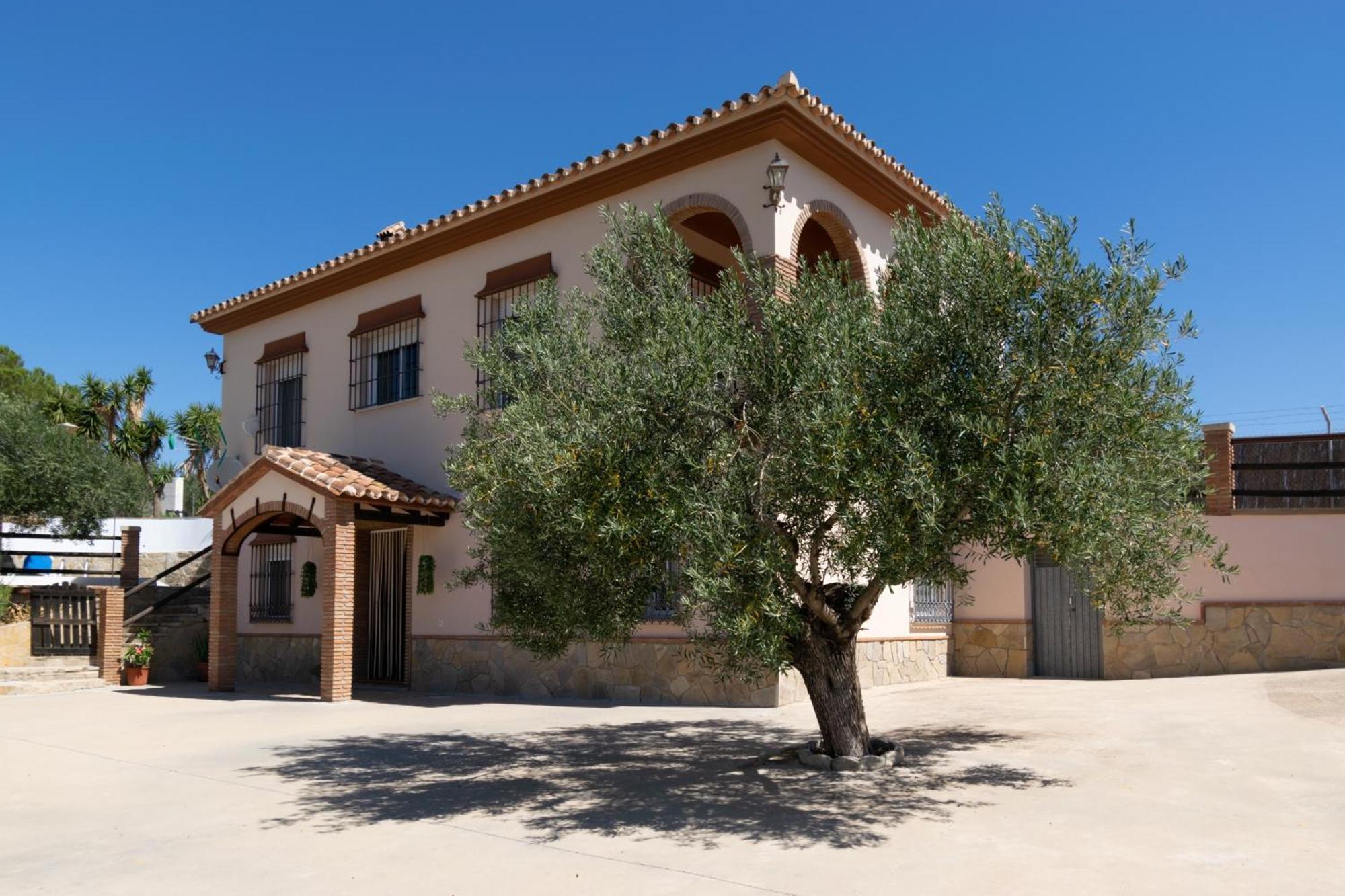 Casa Los Olivos Alora - Caminito Del Rey エクステリア 写真
