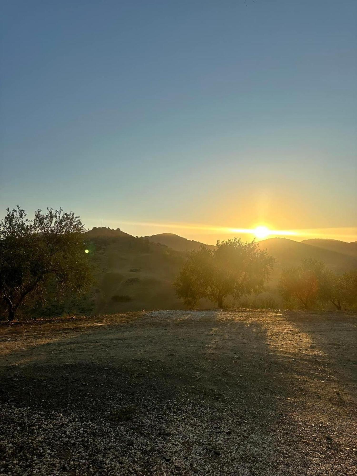Casa Los Olivos Alora - Caminito Del Rey エクステリア 写真